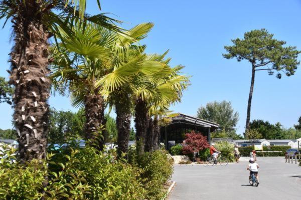 Mobil Home Xxl - Bord Lac - Camping Les Viviers - Lege Cap Ferret Luaran gambar